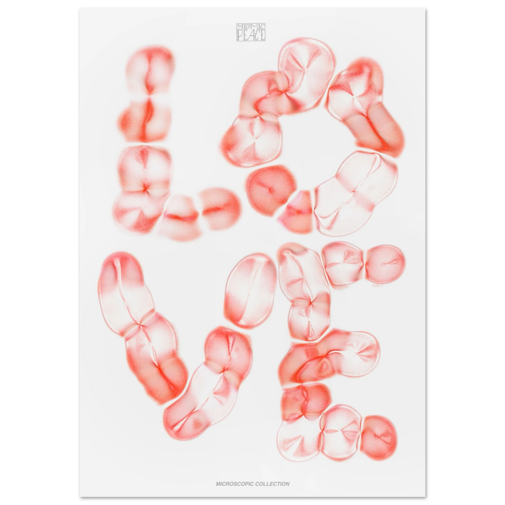 62be9ad0-5186-43b0-b245-00c0cb364cb6